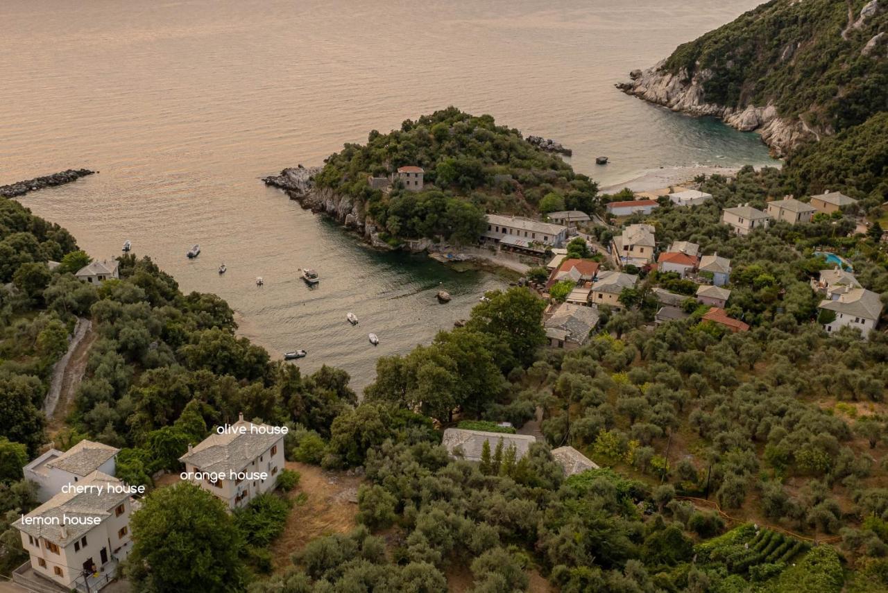 Olive House In Damouchari With A Sea View - Delicious Houses 외부 사진
