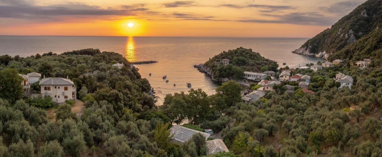 Olive House In Damouchari With A Sea View - Delicious Houses 외부 사진